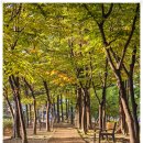 원당근린공원 이미지