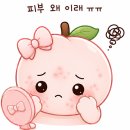 행복주는의원 | 모찌의원 리쥬란 1회차 내돈내산!완벽 후기① : 병원정보, 힐러/HB 가격 통증 효과 비교