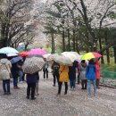 작은도서관 소풍 이미지