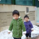 막대사탕 Daum카페