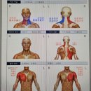 씨유삼성인력개발원창조관 | 삼성인력개발원 명상센터 영덕연수원 - 체크인, 프로그램 신청, 시설