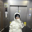 5957 | 아디다스 롱패딩 / 3S 레귤러 핏 롱다운코트 화이트 JG5957 / M사이즈 구매후기