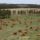 제동농장 이미지