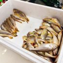 대신굴비수산