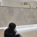 꼬마치과다녀온후기