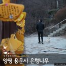 양평 자그마치 이미지