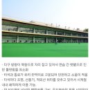 한양파인컨트리클럽 골프연습장 이미지