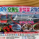 크로바관광여행사