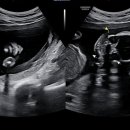 한림정밀 이미지