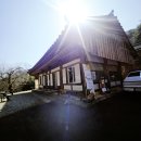 도림사 | [전남 곡성 가볼 만한 곳] 마음이 쉬어가는 천년 고찰, 도림사(道林寺) 방문 후기