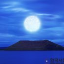 나우갤러리 이미지