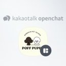 뽀프퍼피(POFF PUPPY) 이미지