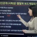 보드게임 지도사 자격증 이미지