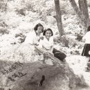 두꺼비휴게소 이미지