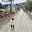 맘마목장 이미지