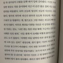 삼백분식 | 1.4 삼백예순다섯 개의 해님 달님 재입고 🌝 🌚