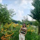 신곡목장 이미지