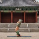 강가요가 이미지