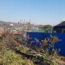 우석농장(2농장) 이미지