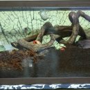 플러스해수탕 이미지