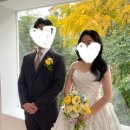 지예로움 이미지