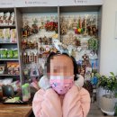 리프패럿 이미지