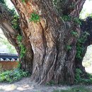 서석지마을 이미지