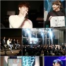 서프라이즈 이미지