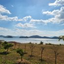 신기마을버스 정류장 이미지