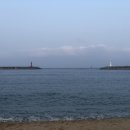 강릉목장 이미지