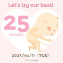 [임신일기] 25~32주차 물욕폭팔 임산부의 데일리룩, 임신증상, 일상(디올 구경, 마시모두띠 등)