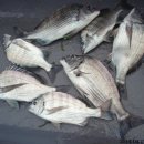 고하대로 672 ~672-1 이미지