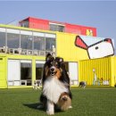 구정(동해)휴게소 이미지