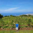 부실농장 이미지