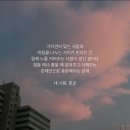 신성헤드