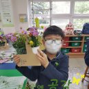 대구선원초등학교 이미지