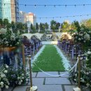 박종근 | [박종근아나운서] 서울 강남 라움 그라스가든 야외 예식 사회 후기