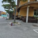 칠칠공사 이미지