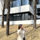 (주)데일리앤코 | 리리앤코 트렌치코트 통통녀봄데이트룩 후기