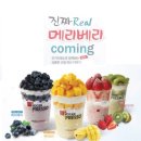 요거프레소 이미지