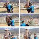 솔향기흙내음 이미지