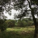 진욱이별장자전거게스트하우스 이미지