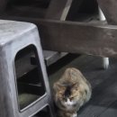 태풍 태권도장 | [주간일기] 10월 4째주 : 그저사고였을뿐, 노들섬 미식마켓(붐따), 어쩔수가없다 팝업