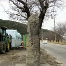 운봉 이미지