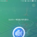 세븐일레븐 포항유강점 티스토리