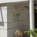 코티지 | [서울 홍대] 햇살 가득한 연남동 브런치 맛집 코티지블루 솔직 후기