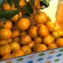 중호농장 이미지