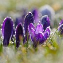 향기4로 이미지