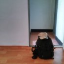 영광온천장 이미지