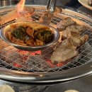 주간일기 &lt;1월 1-2주차 기록&gt;